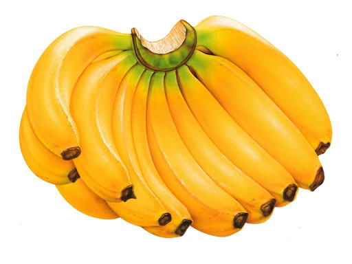 ʳ ˴󸾿Ʋ