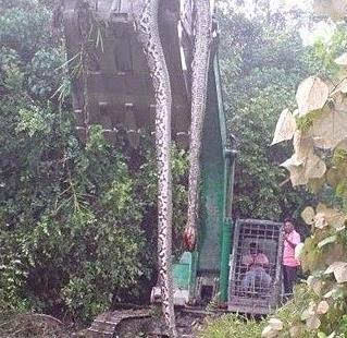 ھڳ!˾ɵھ
